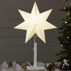 Standstern Karo, Höhe 55 cm