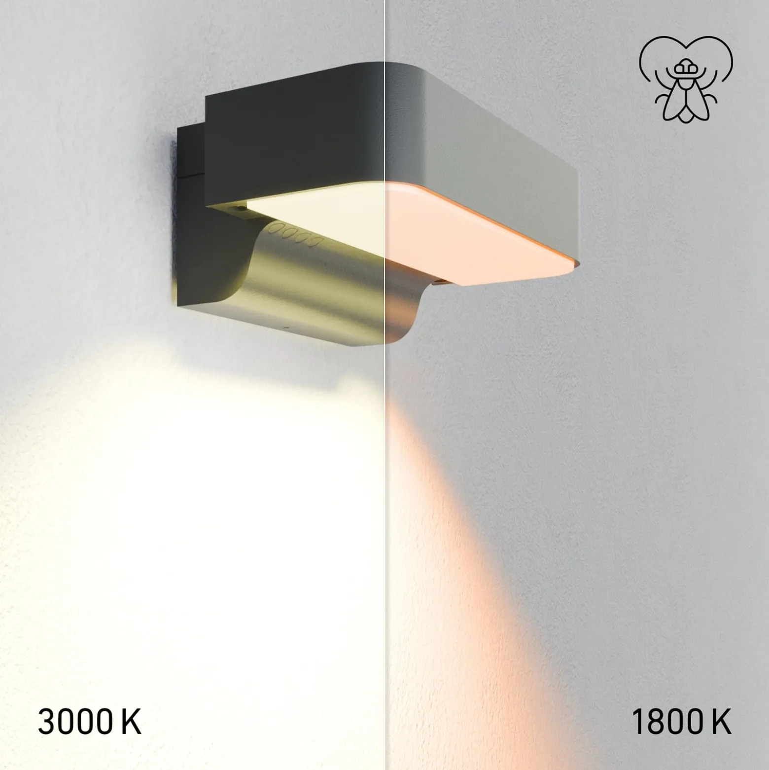 STEINEL LED-Sensor-Außenwandleuchte L 800 SC, anthrazit IP44