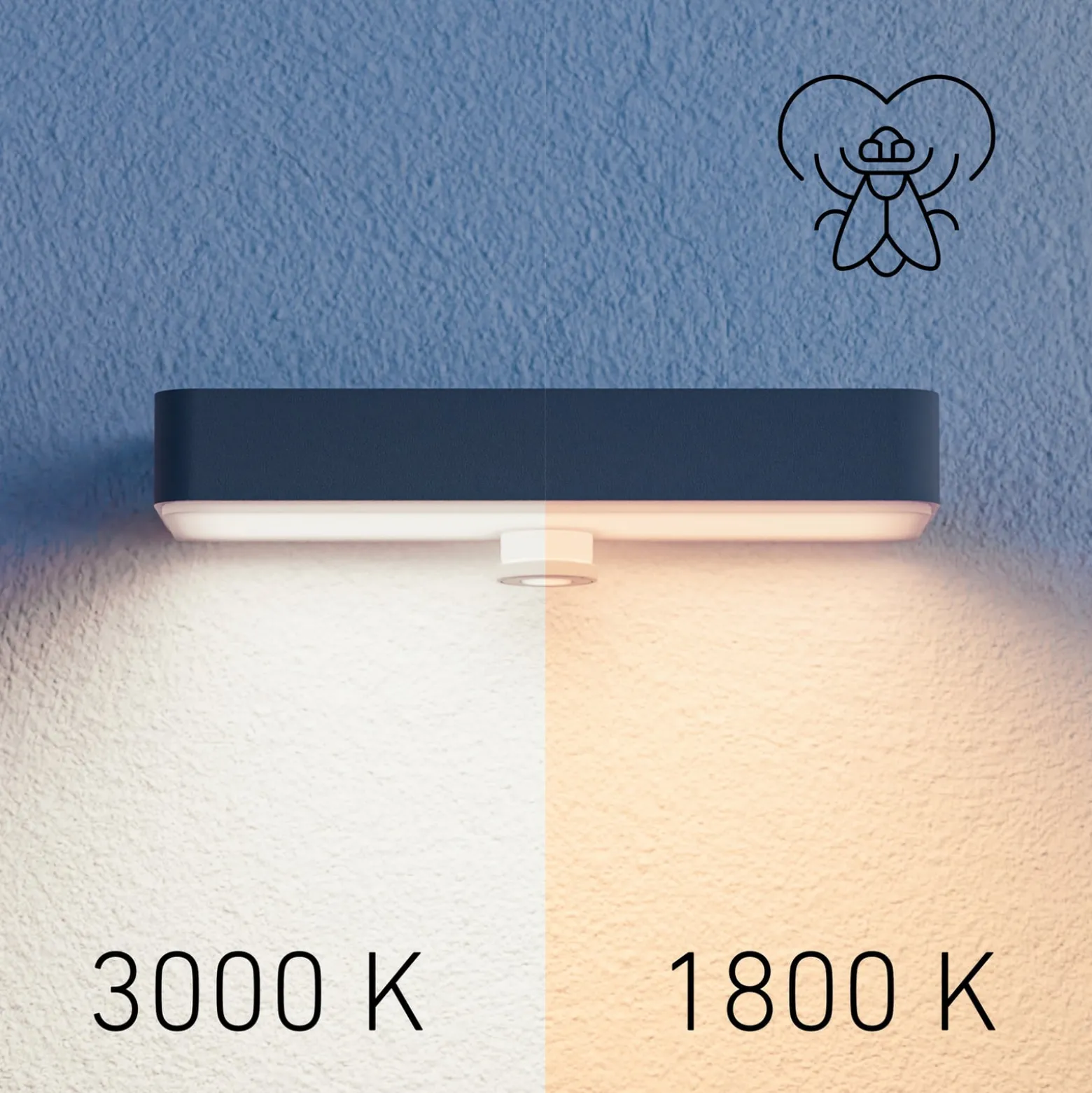 STEINEL LED-Solar-Wandlampe XSolar SOL-O S, anthrazit Sensor