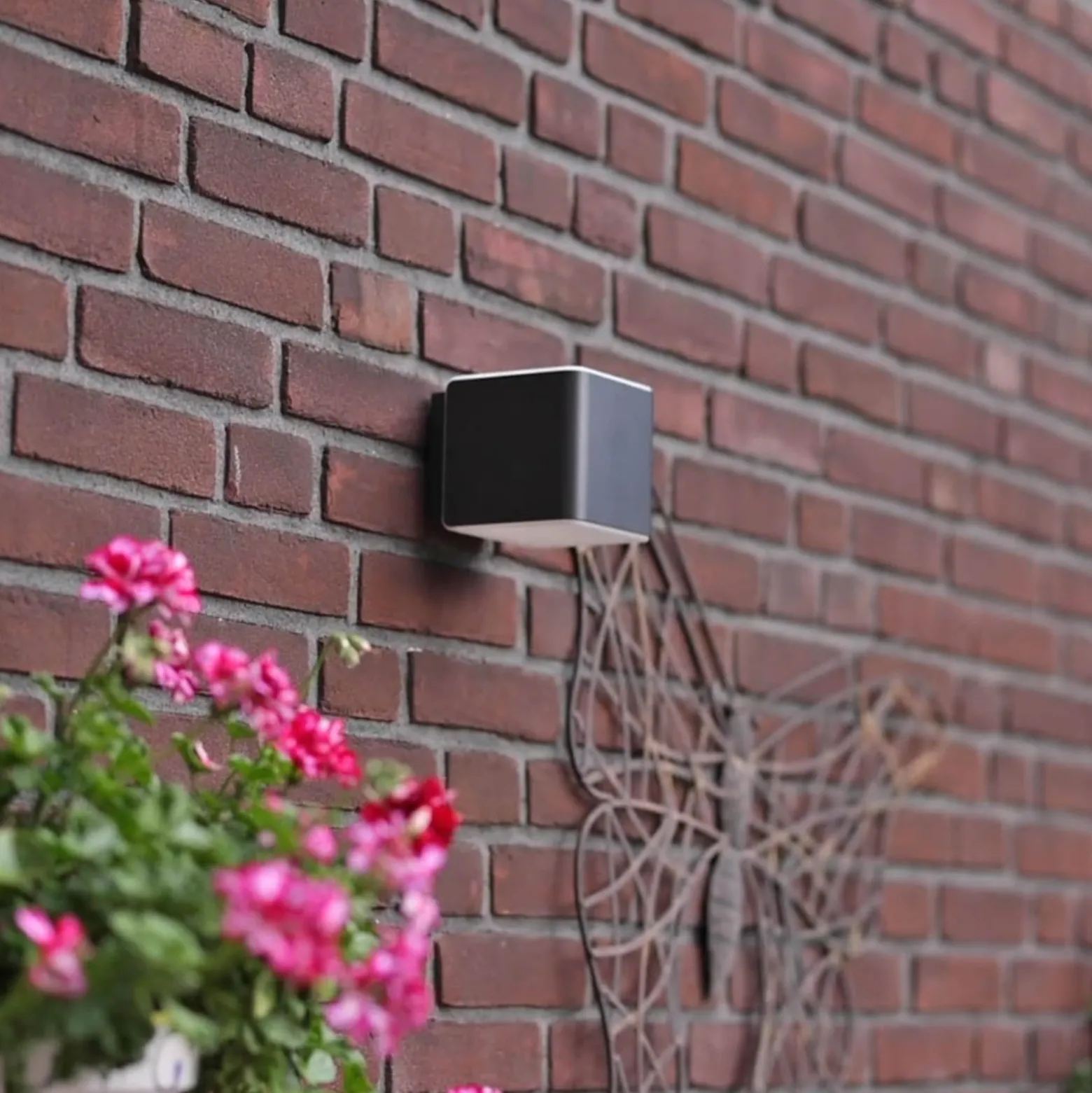 STEINEL Smart Sensor-Außenwandleuchte L 840 SC anthrazit