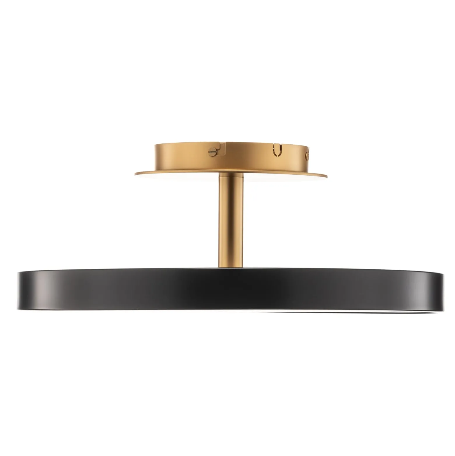 UMAGE Asteria Up Medium Deckenlampe 43cm anthrazit