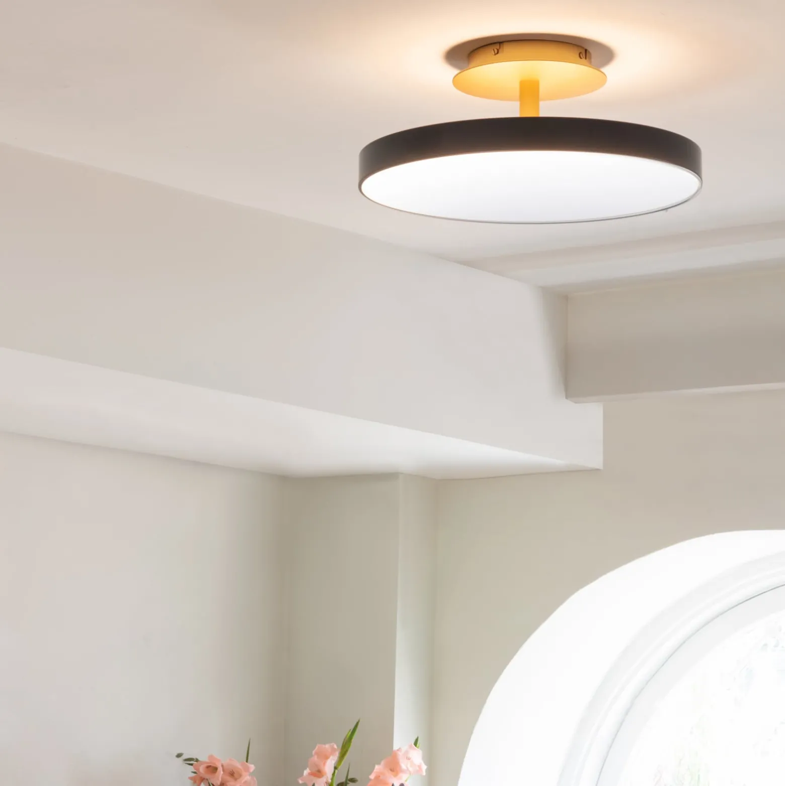 UMAGE LED-Deckenlampe Asteria UP PLUS, anthrazit Ø 43 cm CCT