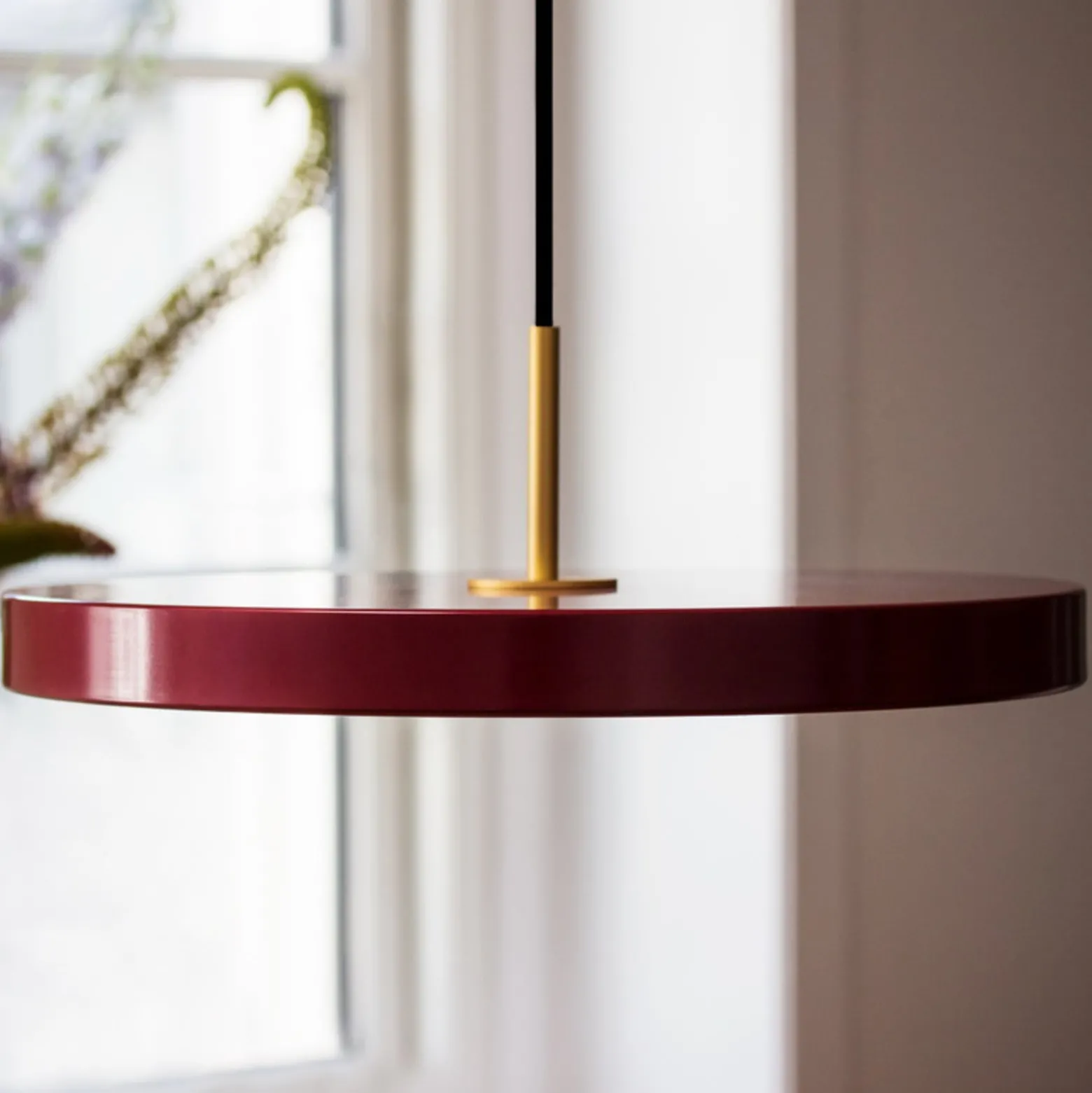 UMAGE LED-Hängelampe Asteria Mini, rubinrot/messing, Ø 31 cm