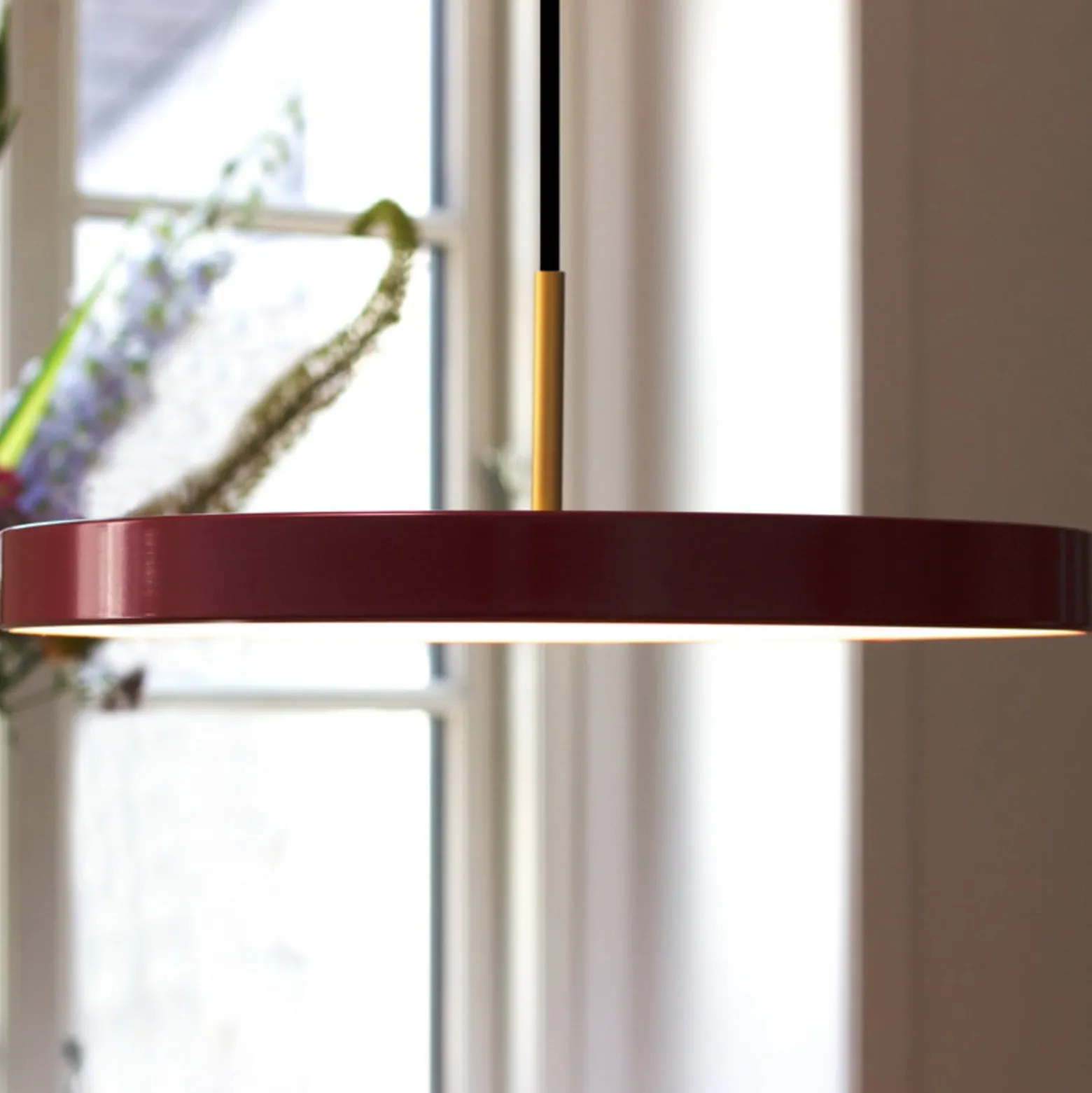 UMAGE LED-Hängelampe Asteria Mini, rubinrot/messing, Ø 31 cm