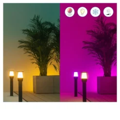 WiZ Elpas LED-Wegeleuchte schwarz RGBW Starter Set
