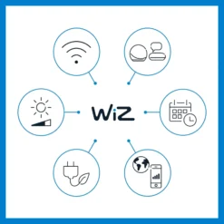 WiZ LED-Spot Ground Erweiterung Einzelpack