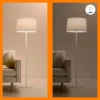 WiZ P45 LED-Lampe E27 4,9 W Tropfen satiniert RGBW