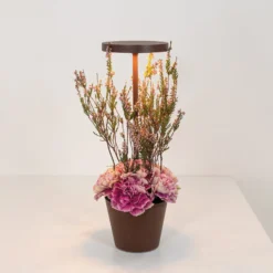 Zafferano Poldina Reverso Akku-Tischlampe corten